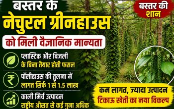 बस्तर में विकसित नेचुरल ग्रीनहाउस मॉडल को वैज्ञानिक मान्यता मिली है। बिना प्लास्टिक और बिजली के कम लागत में बेहतर उत्पादन देने वाली यह तकनीक किसानों के लिए नई उम्मीद बन रही है।