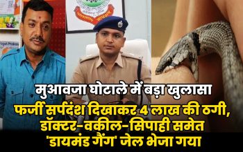 मुआवजा घोटाले में बड़ा खुलासा: फर्जी सर्पदंश दिखाकर 4 लाख की ठगी, डॉक्टर-वकील-सिपाही समेत 'डायमंड गैंग' जेल भेजा गया