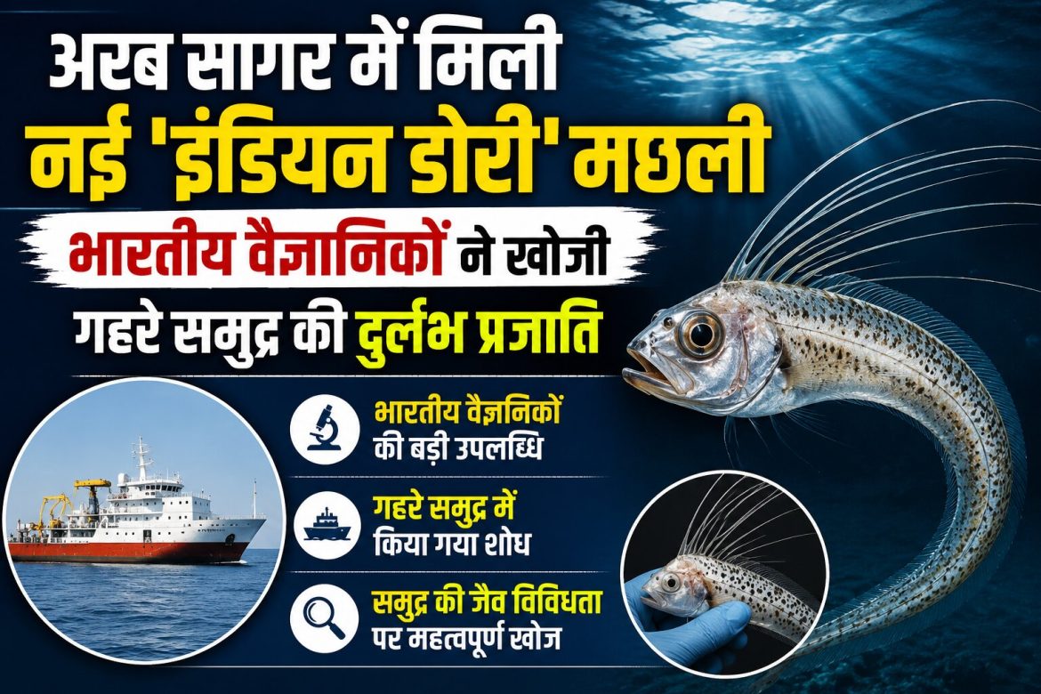 अरब सागर में मिली नई ‘इंडियन डोरी’ मछली, भारतीय वैज्ञानिकों ने खोजी गहरे समुद्र की दुर्लभ प्रजाति