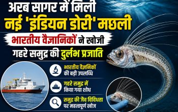 अरब सागर की गहराई में CMFRI वैज्ञानिकों द्वारा खोजी गई नई 'Indian Dory' मछली प्रजाति।