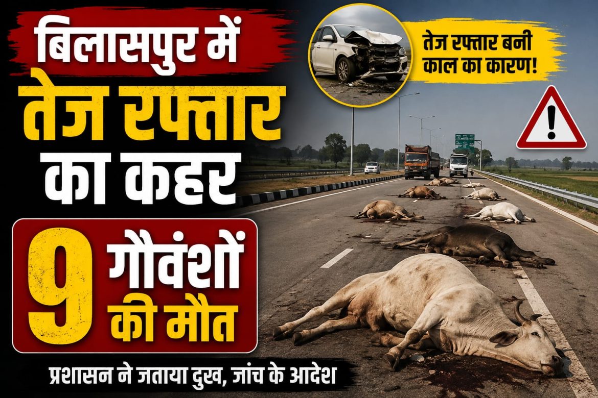 बिलासपुर में तेज रफ्तार का कहर, 9 गौवंशों की मौत