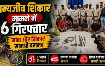 इंद्रावती टाइगर रिजर्व में वन विभाग की शिकार विरोधी कार्रवाई
