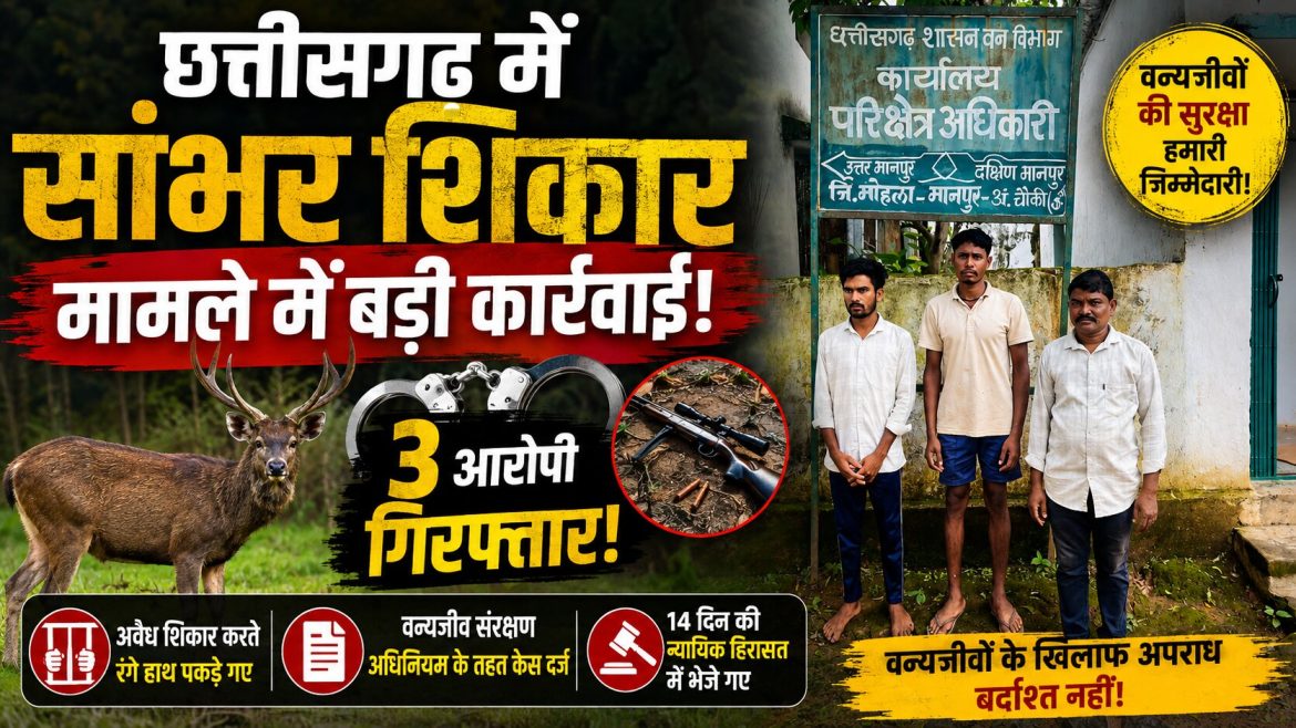 छत्तीसगढ़ में सांभर शिकार मामले में बड़ी कार्रवाई