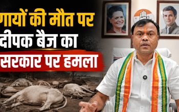 गायों की मौत के मुद्दे पर सरकार पर निशाना साधते कांग्रेस प्रदेश अध्यक्ष दीपक बैज