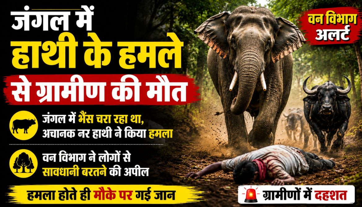 बलरामपुर में हाथी के हमले से ग्रामीण की मौत