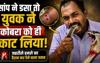 ओडिशा के झारसुगुड़ा में सांप के काटने के बाद युवक ने कोबरा को दांतों से काटा