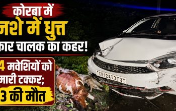 कोरबा के उरगा क्षेत्र में कार की टक्कर के बाद सड़क पर मृत मवेशी