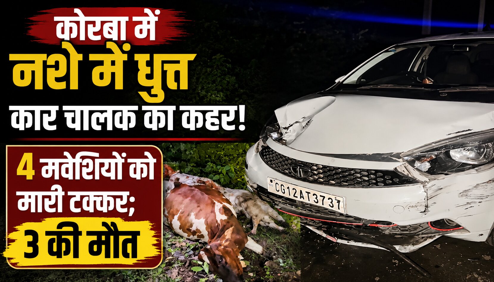 कोरबा के उरगा क्षेत्र में कार की टक्कर के बाद सड़क पर मृत मवेशी