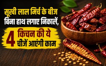 चम्मच की मदद से सूखी लाल मिर्च के बीज निकालने का तरीका