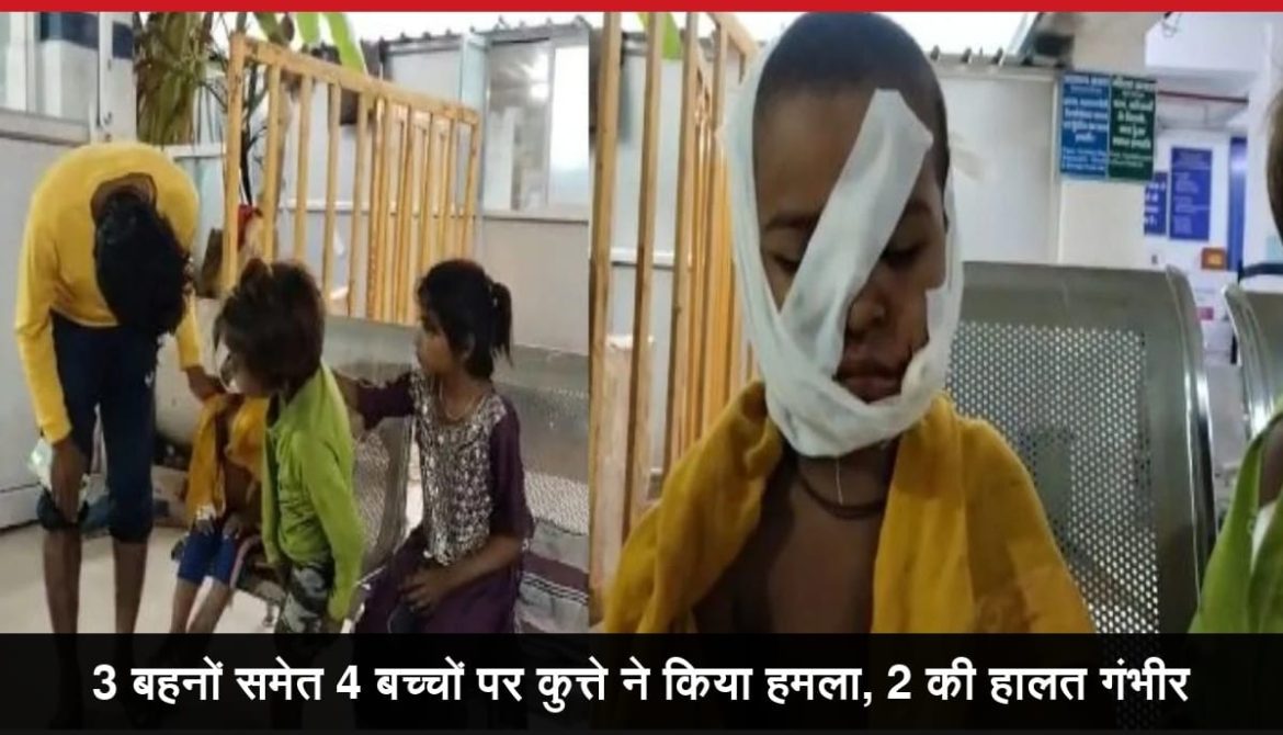 3 बहनों समेत 4 बच्चों पर कुत्ते ने किया हमला
