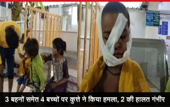 गांव में कुत्ते के हमले से घायल बच्चे