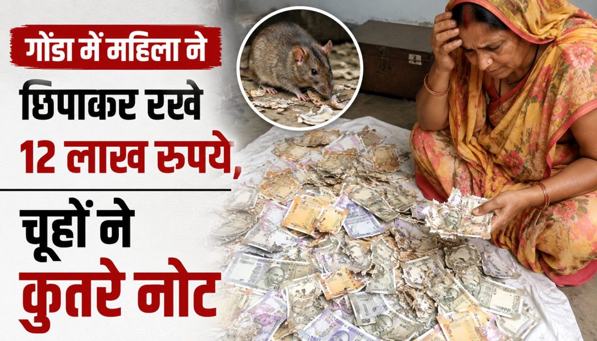 गोंडा में महिला ने छिपाकर रखे 12 लाख रुपये, चूहों ने कुतरे नोट