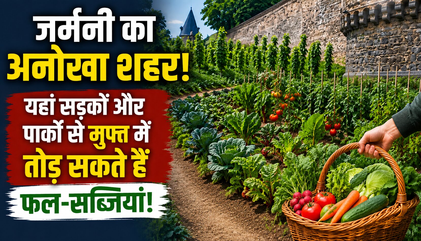 जर्मनी के एंडेरनाच शहर में सार्वजनिक जगहों पर उगाई गईं फल और सब्जियां