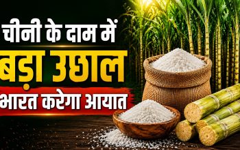 भारत में चीनी की कीमतों में बढ़ोतरी और 10 लाख टन शुल्क-मुक्त आयात का फैसला