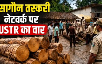 ओडिशा के दसपुर में सागौन तस्करी के खिलाफ USTR की कार्रवाई में बरामद इमारती लकड़ी