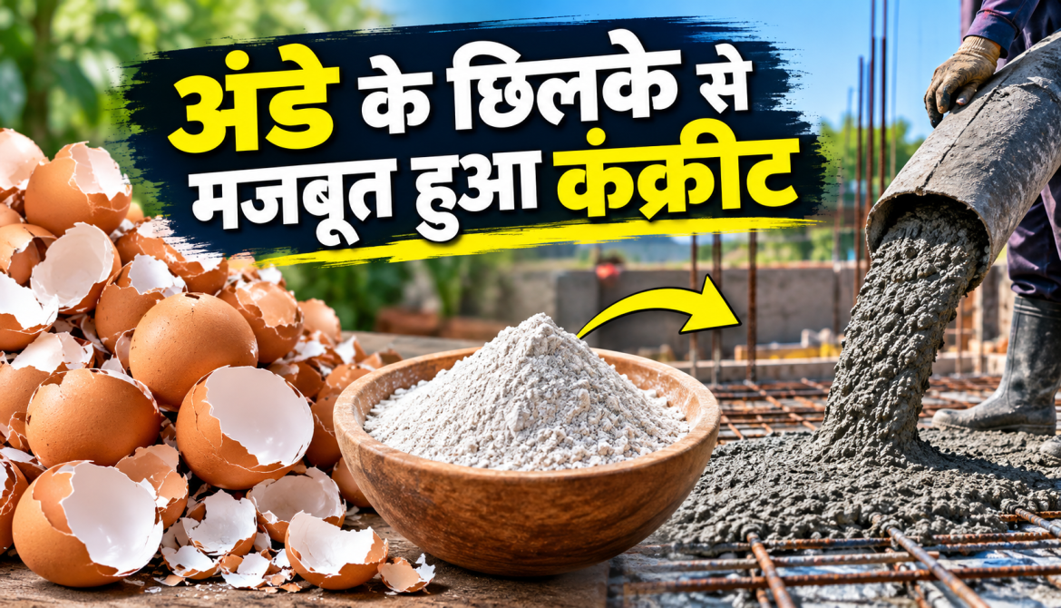 अंडे के छिलके से बना कंक्रीट सीमेंट से भी मजबूत! रिसर्च में सामने आया चौंकाने वाला नतीजा