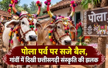 बलौदाबाजार में पोला पर्व पर सजाए गए बैल और मिट्टी के बैल