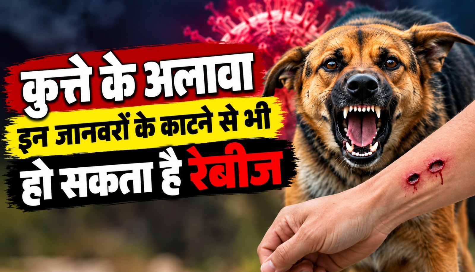 कुत्ते और अन्य संक्रमित जानवरों के काटने से रेबीज के खतरे और बचाव की जानकारी