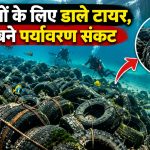 प्यूजेट साउंड में समुद्र से पुराने टायर हटाने का अभियान