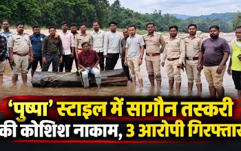 गरियाबंद में सागौन तस्करी के मामले में वन विभाग और पुलिस की कार्रवाई