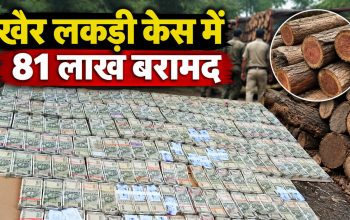 महासमुंद खैर लकड़ी के अवैध परिवहन मामले में आरोपी के घर से जब्त 81 लाख रुपये नकद
