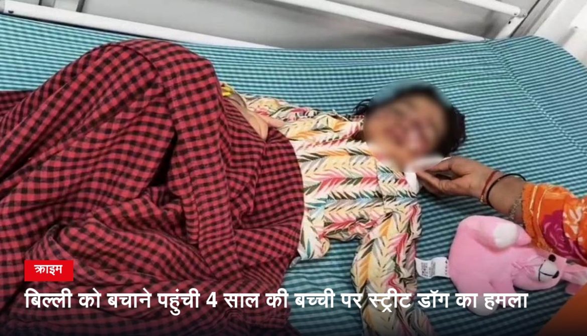 बिल्ली को बचाने पहुंची 4 साल की बच्ची पर स्ट्रीट डॉग का हमला