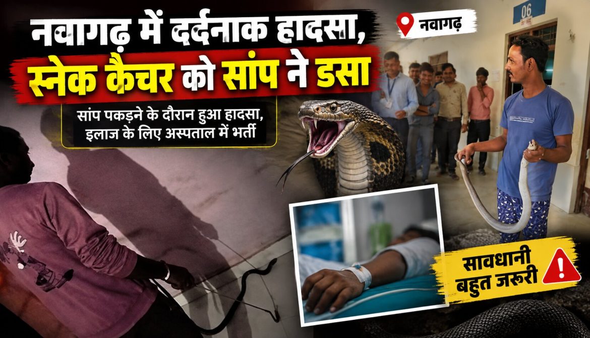 नवागढ़ में दर्दनाक हादसा, स्नेक कैचर को सांप ने डसा