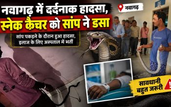 नवागढ़ में स्नेक रेस्क्यू के दौरान सर्पदंश से स्नेक कैचर मनीष पाटिल की मौत
