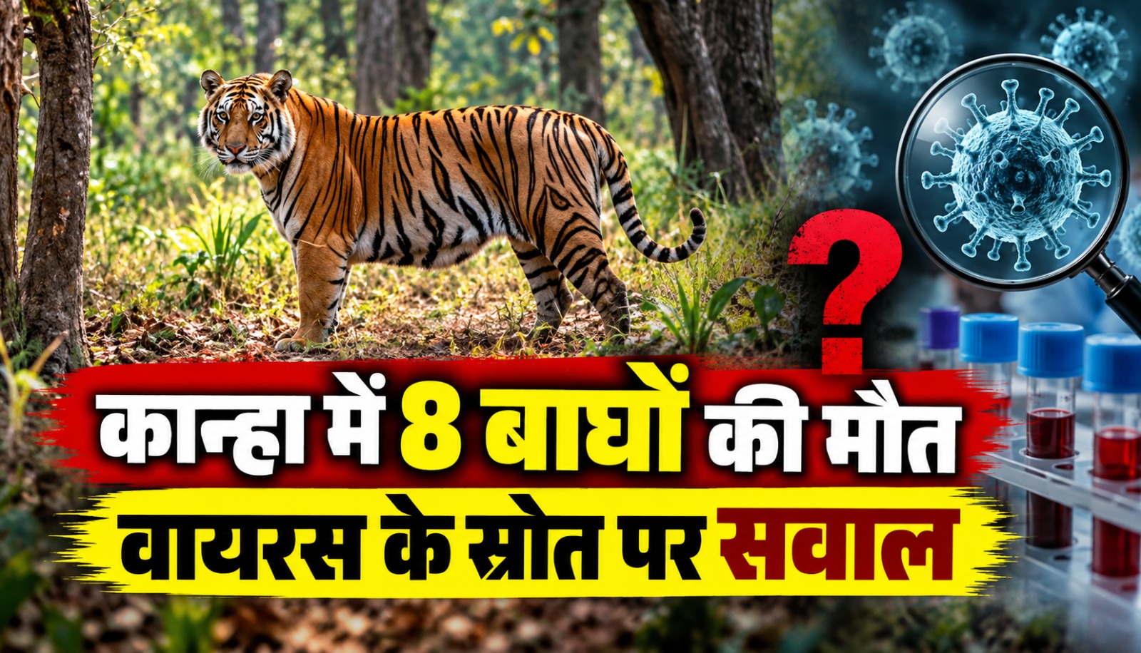 मध्य प्रदेश के कान्हा टाइगर रिजर्व में कैनाइन डिस्टेंपर वायरस से जुड़ी बाघों की मौत और संक्रमण के संभावित स्रोत की जांच