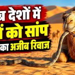 ऊंट और सांप से जुड़ी पारंपरिक पशु उपचार पद्धति का प्रतीकात्मक दृश्य
