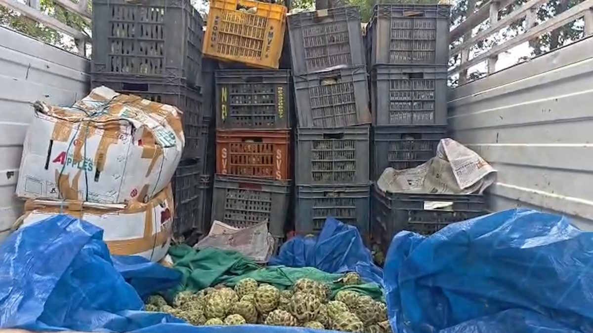 गरियाबंद के देवभोग वन परिक्षेत्र में वन विभाग द्वारा जब्त सीताफल से भरी ओडिशा पासिंग पिकअप