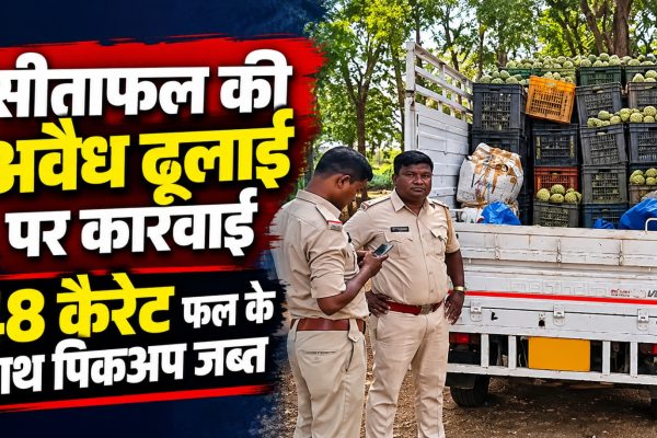 गरियाबंद के देवभोग वन परिक्षेत्र में वन विभाग द्वारा जब्त सीताफल से भरी ओडिशा पासिंग पिकअप