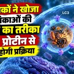 LC3 प्रोटीन के जरिए कोशिकाओं की ऑटोफैगी प्रक्रिया को नियंत्रित करने पर शोध