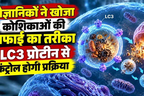 LC3 प्रोटीन के जरिए कोशिकाओं की ऑटोफैगी प्रक्रिया को नियंत्रित करने पर शोध