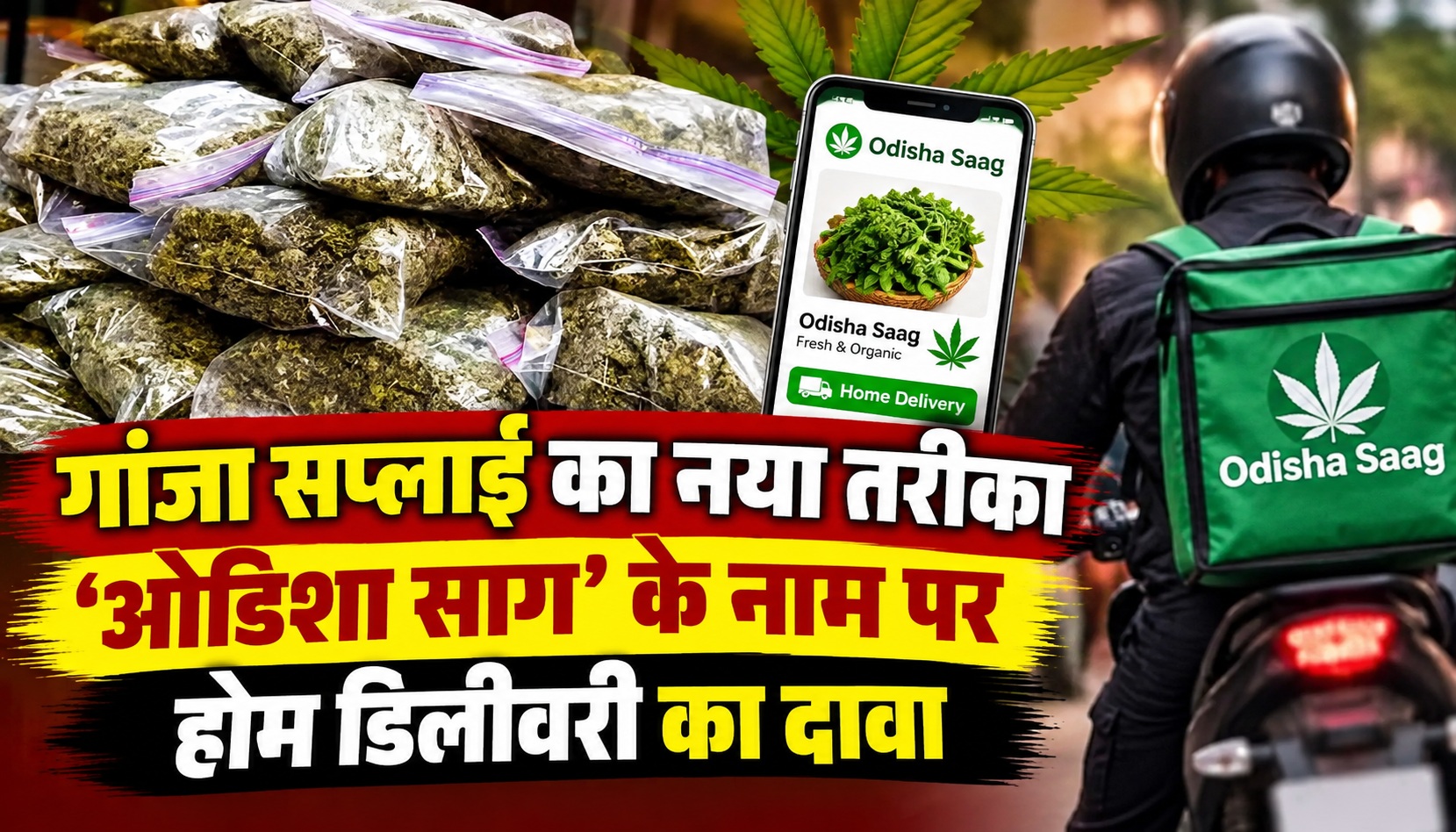 गांजा सप्लाई का नया तरीका, ‘ओडिशा साग’ के नाम पर होम डिलीवरी का दावा