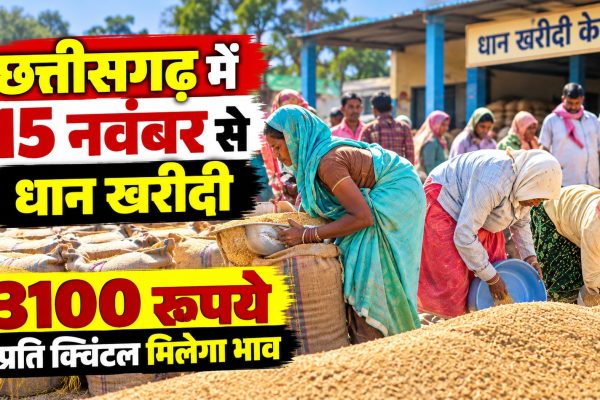 छत्तीसगढ़ में 15 नवंबर से धान खरीदी, 3100 रुपये प्रति क्विंटल मिलेगा भाव