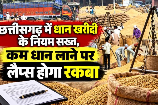 छत्तीसगढ़ में धान खरीदी के नियम सख्त, कम धान लाने पर लैप्स होगा रकबा