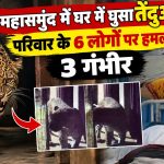 महासमुंद में घर में घुसा तेंदुआ, परिवार के 6 लोगों पर हमला; 3 गंभीर